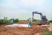 Việt Nam sản xuất thành công vắc xin phòng bệnh dịch tả lợn châu Phi