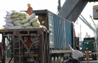 Xuất khẩu gạo: Gam màu sáng của bức tranh kinh tế