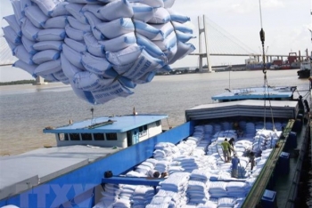 Truyền thông và giới doanh nghiệp Đức đánh giá cao cơ hội từ EVFTA