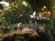 Hà Nội huy động toàn lực chủ động đối phó, xử lý kịp thời bão số 2