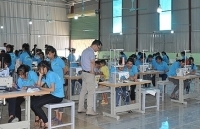 Khởi nghiệp trên quê hương