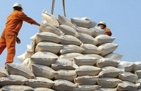 Cơ hội từ các thị trường truyền thống