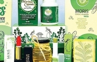 Khởi nghiệp từ cây chùm ngây