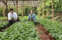 Đường 9 - Khe Sanh: 