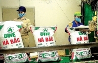 Công ty Cổ phần Phân đạm và Hóa chất Hà Bắc: Sản lượng, doanh số tăng đều 