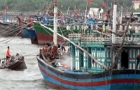 Bắc và Trung Bộ chủ động ứng phó với ATNĐ, bão đầu mùa 2019