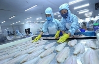 Thúc đẩy hợp tác Việt Nam – Armenia