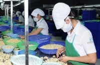 Để nông sản thâm nhập vào EU: Biết mình, biết người