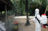 Nhiều địa phương phát sinh thêm ổ dịch tả lợn châu Phi