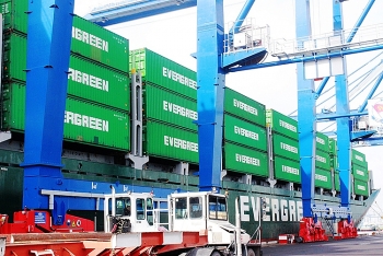 Doanh nghiệp khai thác tốt FTA: Sẽ phục hồi hậu Covid-19