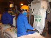 Áp thuế tự vệ với phân bón: Vì một \