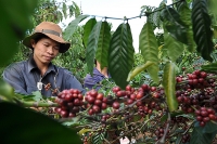 Giao thương nông sản, thủy sản Việt Nam - Liên bang Nga: Hướng đến mục tiêu 10 tỷ USD