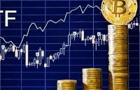 Lấp lánh chưa hẳn là vàng