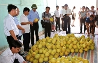 Chỉ dẫn địa lý: 