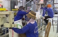 Tái cơ cấu toàn diện ngành mía đường