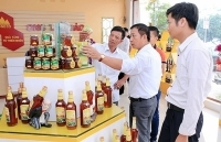 Lê Thị Nga - từ đam mê đến thương hiệu Ong Tam Đảo