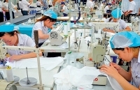 Việt Nam- Vương quốc Anh: Nhiều cơ hội hợp tác lớn