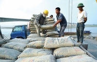 Việt Nam - Nam Phi: Mở rộng hợp tác thương mại, đầu tư