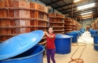 Chỉ dẫn địa lý: Ưu tiên sản phẩm giá trị gia tăng cao