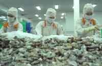 31 doanh nghiệp Việt Nam xuất khẩu tôm sang Mỹ hưởng mức thuế 0%