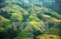 Lào Cai chào đón du khách đến nghỉ lễ 2/9 bằng Lễ hội mùa Thu độc đáo