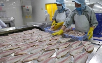 Ra mắt cổng tư vấn trực tuyến Hiệp định EVFTA cho doanh nghiệp ĐBSCL