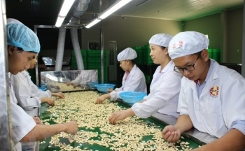 Tận dụng cơ hội từ EVFTA: Chủ động tạo giấy thông hành