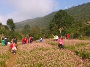 Người mở hướng du lịch ở Suối Giàng