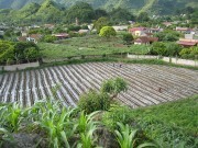 Thay đổi cách nghĩ, cách làm