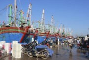 Nhu cầu vốn khai thác hải sản xa bờ tại Nghệ An tăng mạnh
