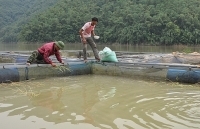 Thêm năng lượng cho công tác giảm nghèo