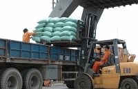Ngành Logistics: