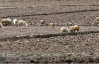 Việt Nam và Pháp tăng cường hợp tác trong lĩnh vực môi trường