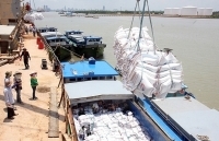 Cơ hội nâng tầm gạo Việt