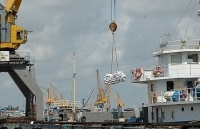 Xuất khẩu gạo- Cơ hội rộng mở