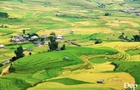 Khám phá ruộng bậc thang Mù Cang Chải và lễ hội văn hóa Mường Lò
