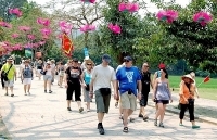 Việt Nam đón gần 13 triệu du khách quốc tế