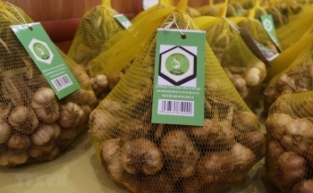 Sản phẩm tỏi An Thịnh được cấp chứng nhận chỉ dẫn địa lý