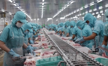 Đề xuất giảm thuế ‘cứu’ doanh nghiệp, kích cầu tiêu dùng