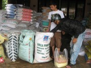 Phân bón giả kém chất lượng tiếp tục “bủa vây” người nông dân