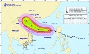 Hải Phòng chủ động ứng phó với bão số 7