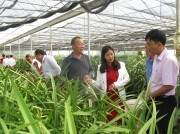 Nữ doanh nhân đưa công nghệ cao “khai phá” đất Bắc Hà