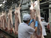 Xuất khẩu thịt lợn tìm \