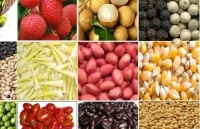 Hỗ trợ xây dựng thương hiệu quốc gia