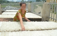 Bảo hộ nhãn hiệu Cao khô Vạn Linh