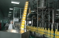 Thị trường dầu ăn: Chứng tỏ 