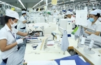 Thay đổi chính sách không đúng thời điểm: Doanh nghiệp có thể 