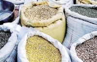 WTO đặt vấn đề quan ngại về chính sách hạn chế nhập khẩu của Ấn Độ