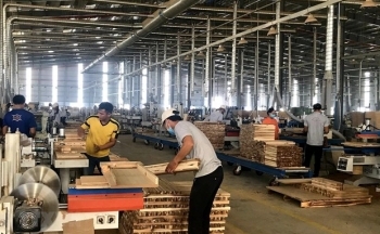 Nông, lâm, thủy sản xuất siêu 7,25 tỷ USD trong 9 tháng