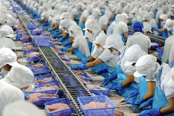 EVFTA: Động lực để doanh nghiệp phát triển bền vững